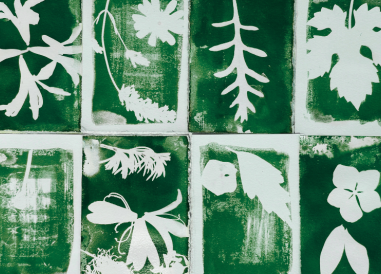 campi estivi 12-15 anni