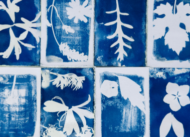 campi estivi 7-11 anni