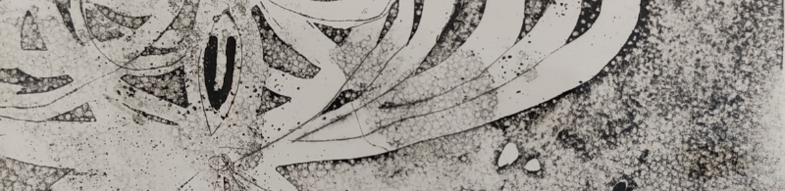 incisione enrico baj