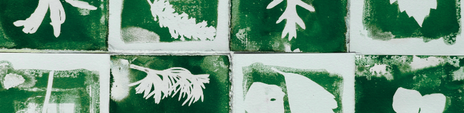 campi estivi 12-15 anni